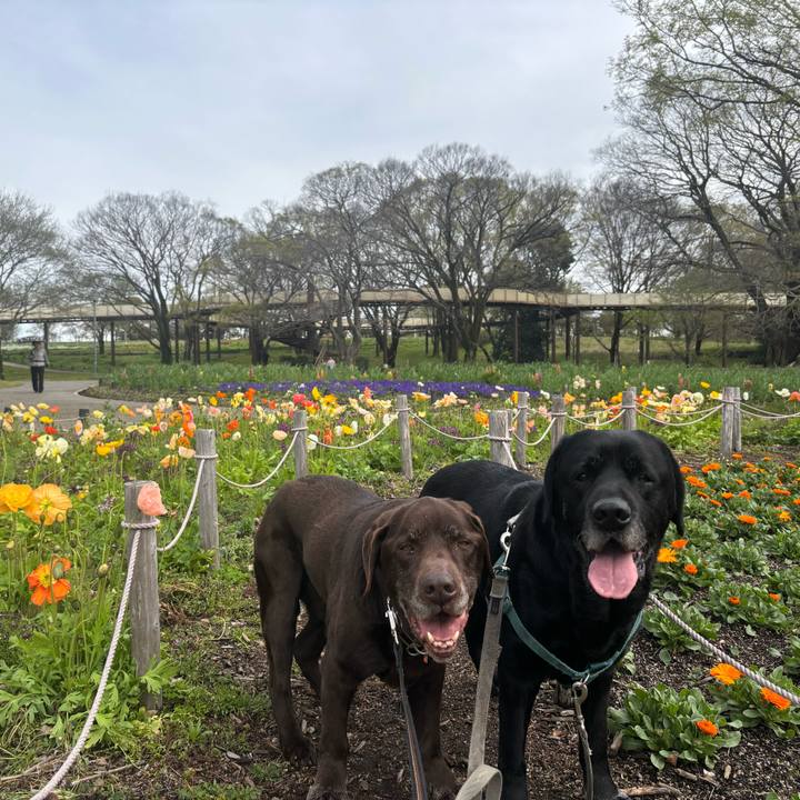 7e20a46b e296 4965 a93a 12a9fff4f373 1775476639925