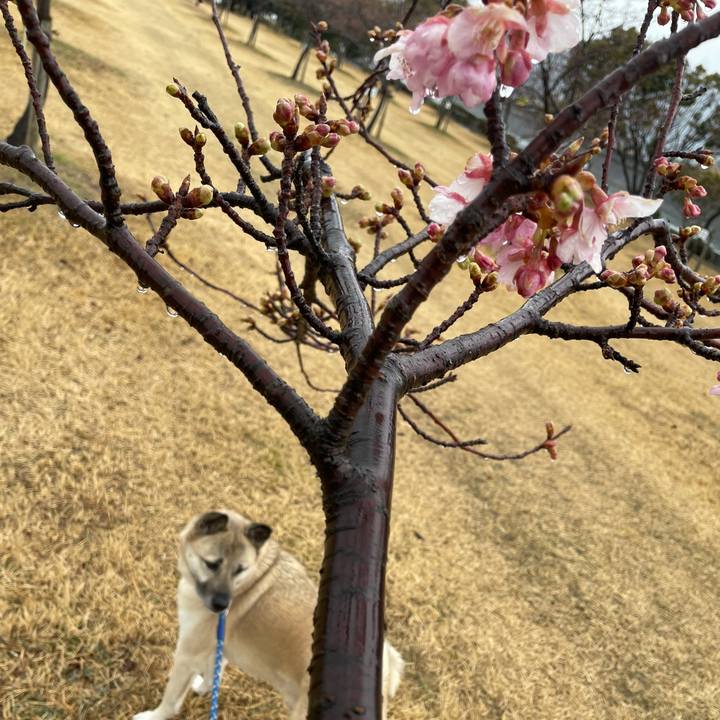 7e20d6dd 0cb4 4cda b514 f041e0fba1dd 1645258525422