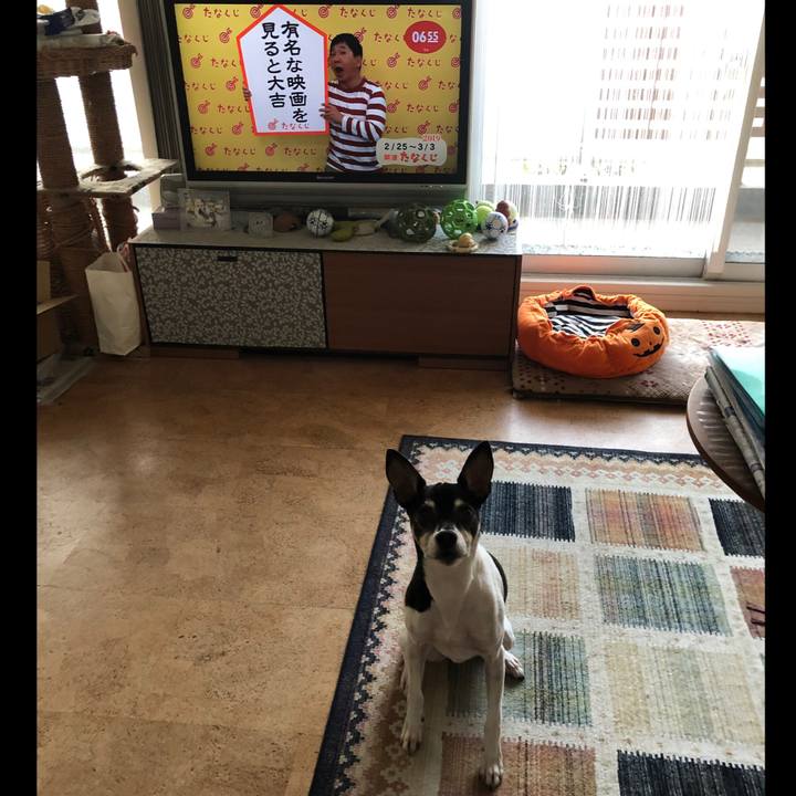 7e20db29 bc98 4dff bcad 44b36be88e28 1551047379829