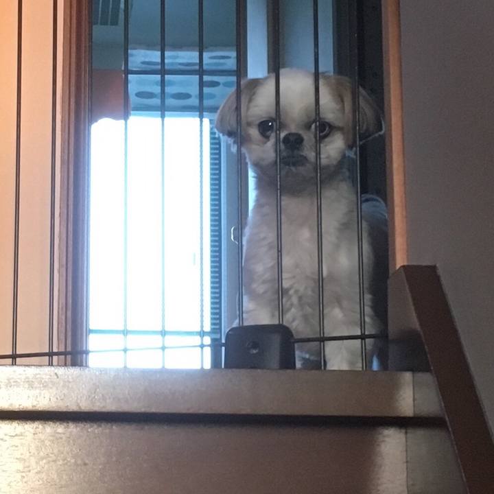 7e20e58e 352b 4a7c b72e e0460f28de08 1522408815356