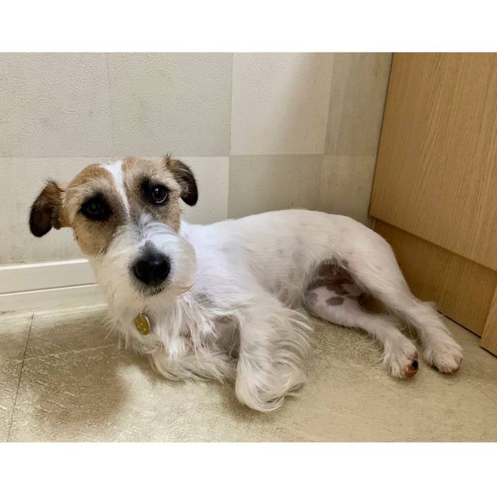 7e210a60 531f 492c 9b97 e7002d5db8c4 1624415231351