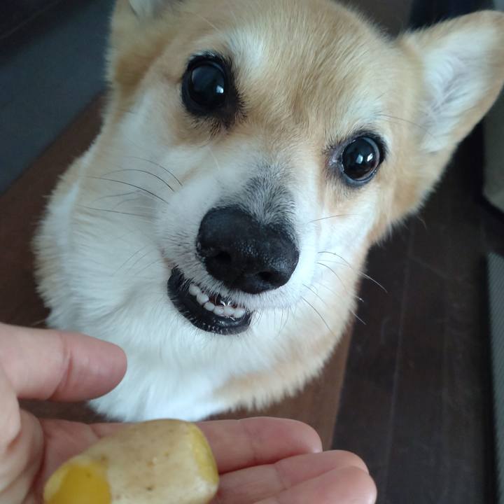 7e211641 de33 4ddf 8ca7 423326c3e8db 1658030978773