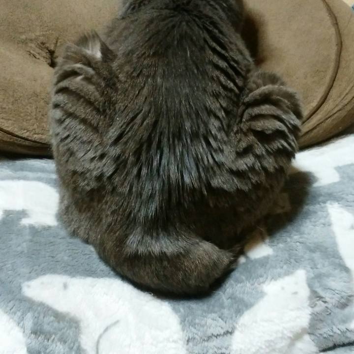 7e21295f d671 4825 8b35 1fff86b1a279 1582115260983