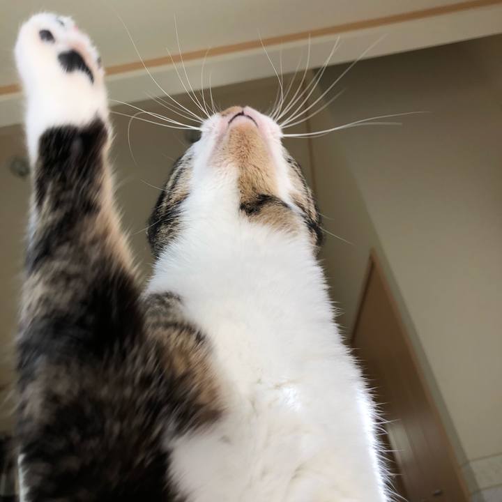 7e213b04 ddae 491f af6d b4aea8f4bf13 1521953091996