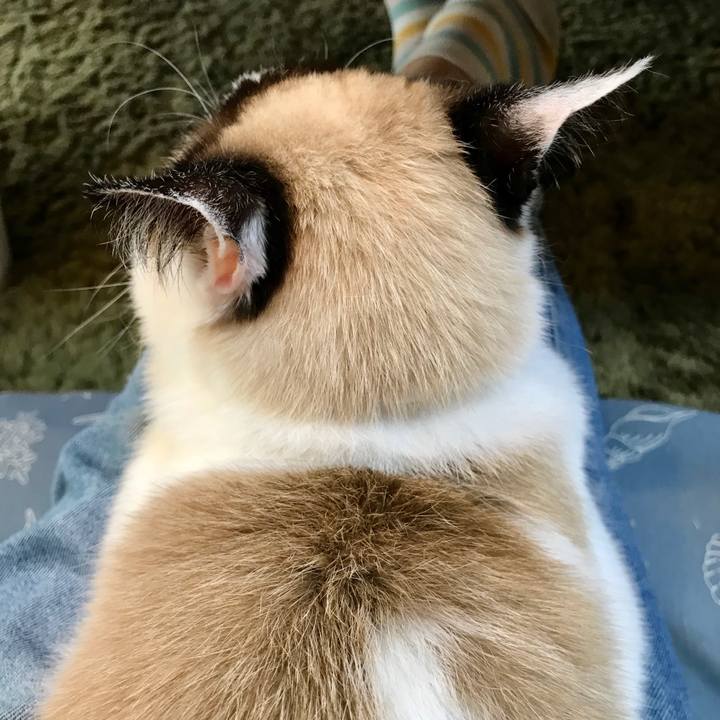 7e21595d 082f 4414 b0b8 64aefa371612 1588248141084