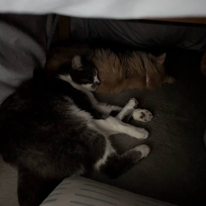 7e217c8f e117 4af8 b7e8 c36e197e80ac 1771246211899