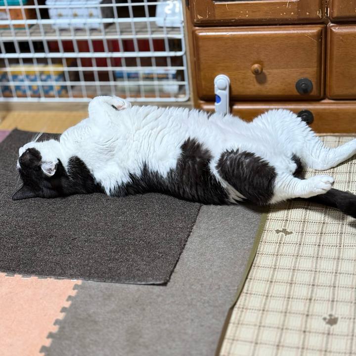 7e21908b c678 4179 950a 93aaa4e7881d 1752113354590