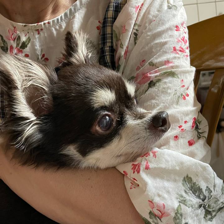 7e21bc10 2f60 49be aab7 2dcf7aca3d2c 1626252970777