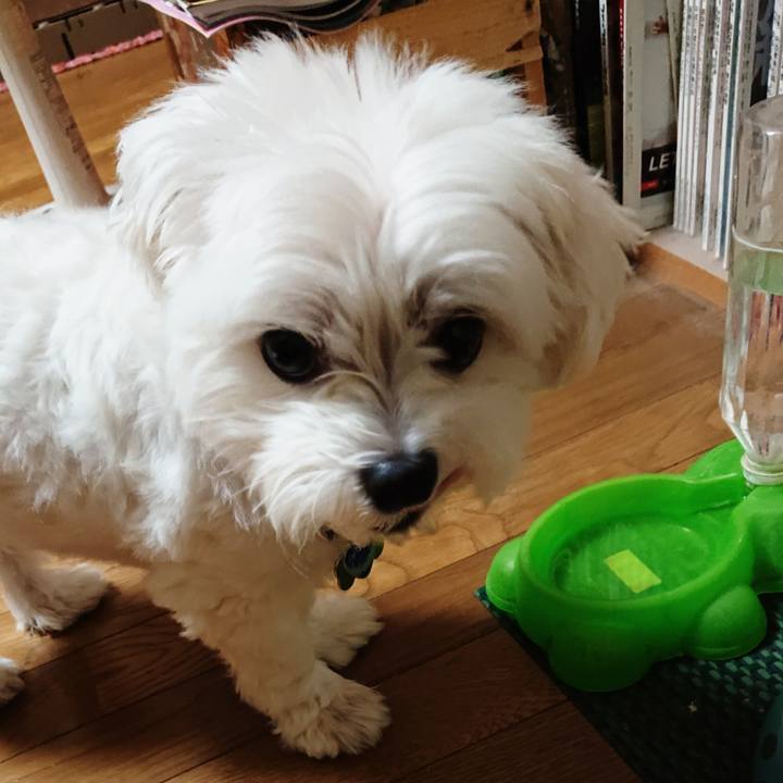 7e21c02f 2191 401b a875 9a73081edf34 1536846985725