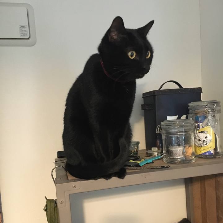 7e21c58b 2a71 4ccb 8f34 76d304eb6107 1545261966040