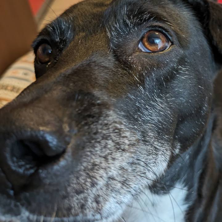 7e21f170 6558 4267 8439 30a32a35df6a 1711277189331