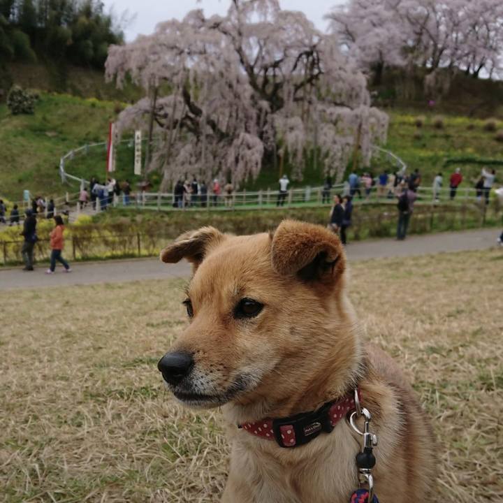 7e21fbe5 98ec 46e6 93bc e2089ee703b3 1650717524801