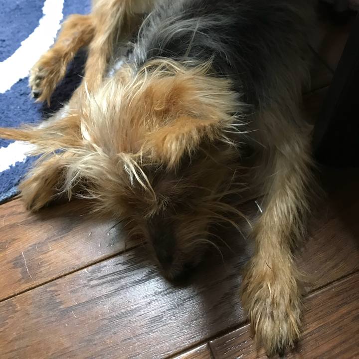 7e221d48 aa43 4310 862a a5bb4f689d18 1534509764729