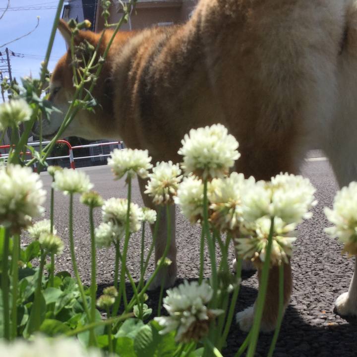 7e222089 8f05 473e 94e4 72e6a45fd5b7 1556423377321