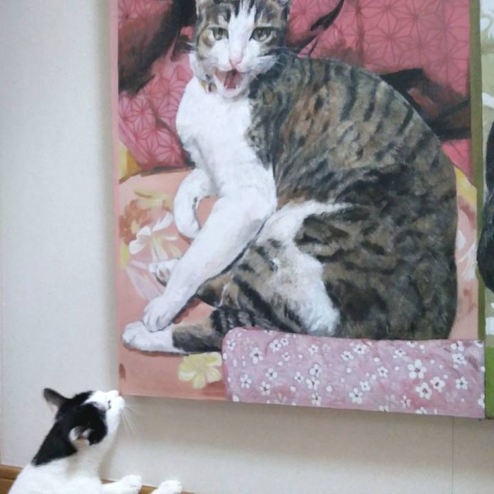 7e226cdd 1bb8 42e4 bee0 a8b1ba532773 1553944824001