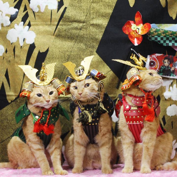 7e22b293 6572 4449 b0bc fbca666df84b 1683030644278