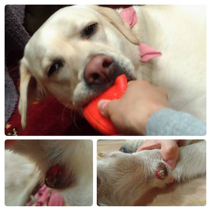 7e22bf17 9cce 4f71 97a3 9d3aa0bf0594 1523889011778