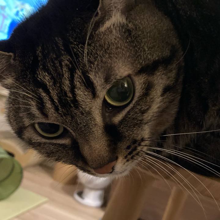 7e22c5c3 a65e 4c83 bd80 f4c1161f2b61 1669117031730