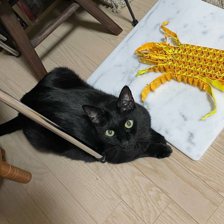 7e23188c 3d79 4722 a4b8 ec6b9b24b161 1691579908121