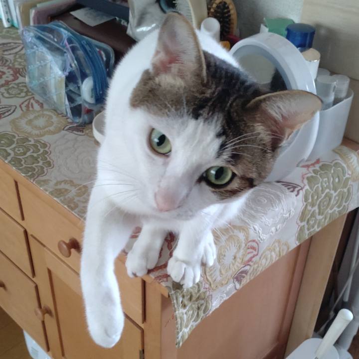 7e23657a 271d 494c 94aa 7b47145ecaae 1695430871509