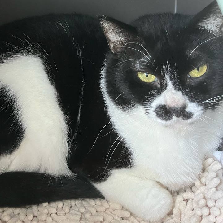 7e236bb3 1d8a 4f7c be3e 7a92a7c459ad 1714692804673