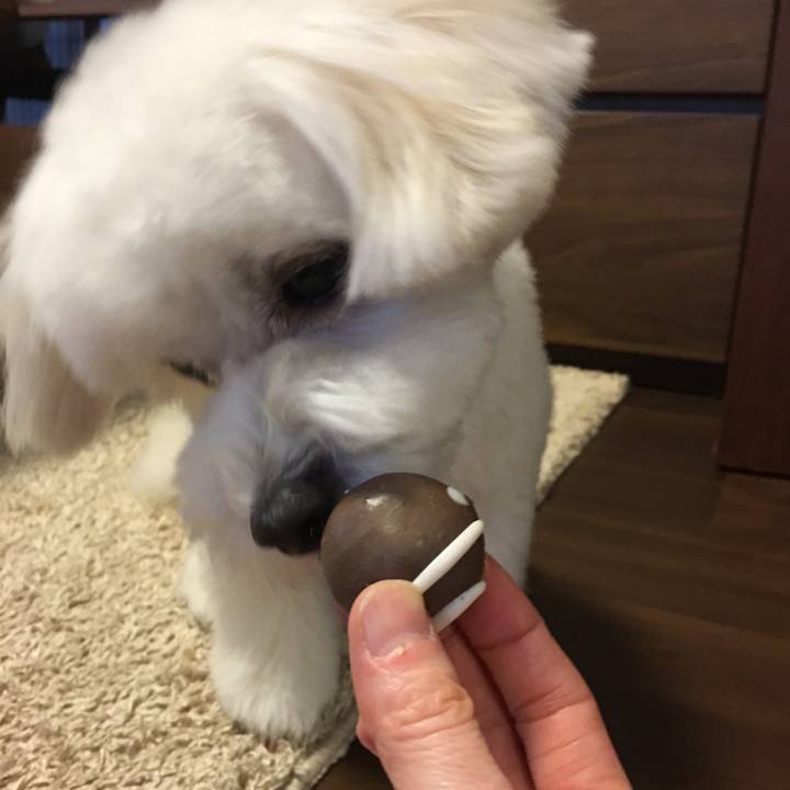 7e236eb3 027f 415e 85c0 5d1398440a64 1559032902934