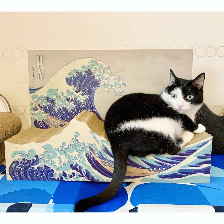 7e239bb8 7a57 4277 97d9 e83be9880f58 1625145586812