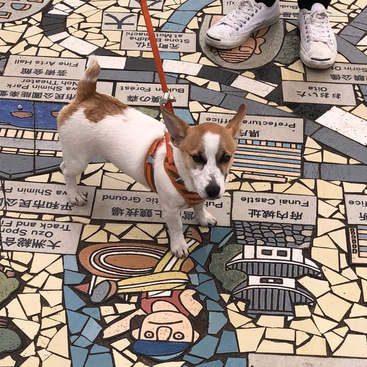 7e23da42 9a55 4282 b1d2 ef6b67d0e82b 1554804684151