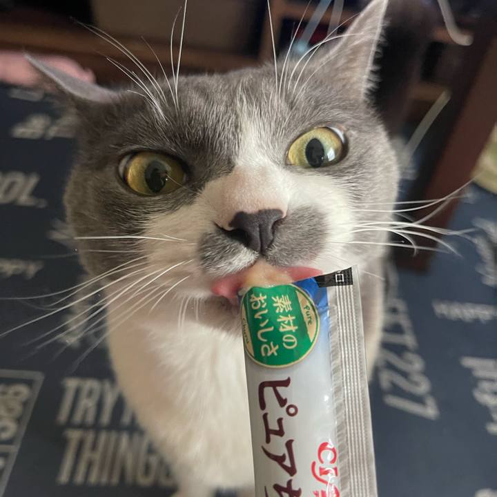 7e23df07 6967 40a8 81f9 3bd9faa81619 1716100947428