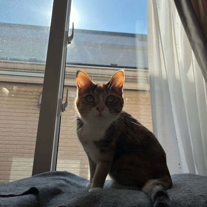 7e23ea7e 53ff 45a4 abf2 422ffae48c2a 1707452432133