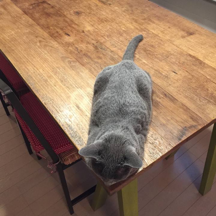 7e2447ad 9dcd 4161 a1df d0f09a46e9d8 1531350814274