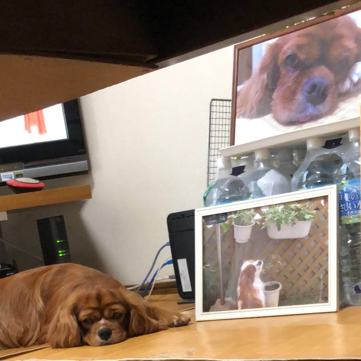 7e2463e0 cd08 4321 821b ad5de07f3aa0 1597185321086