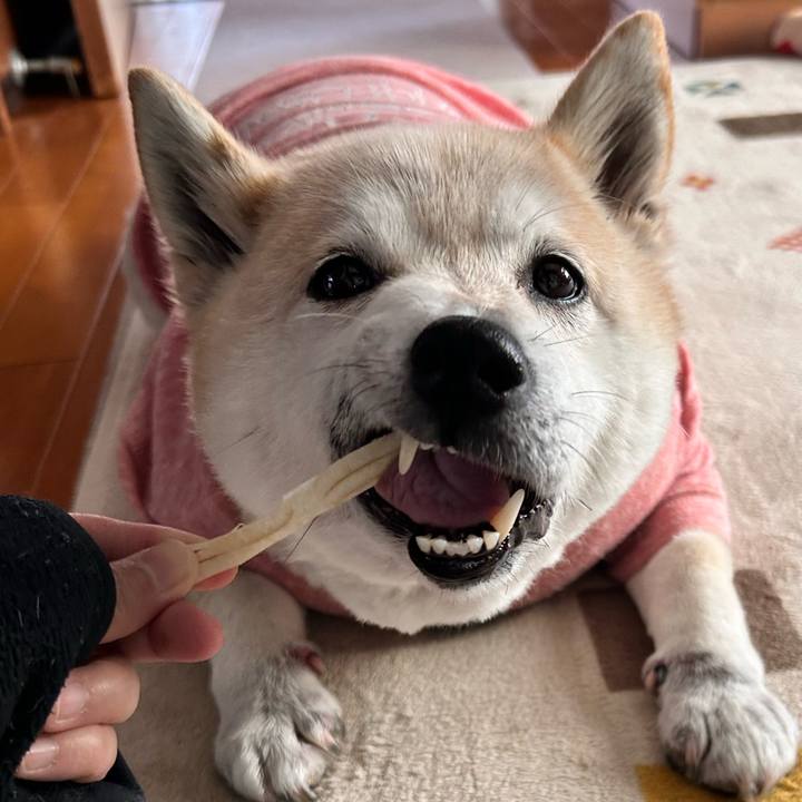 7e249e36 420d 4a24 b58d d1287df13f5d 1744255581158