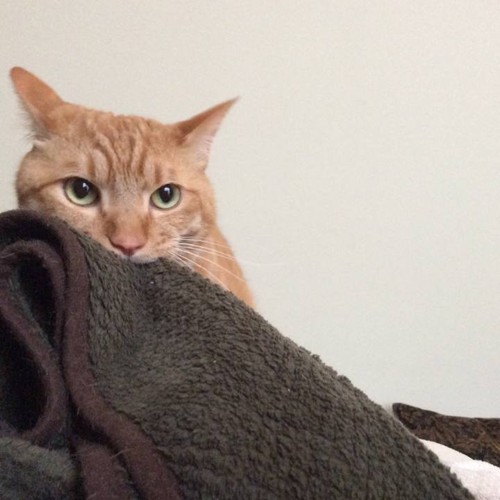 7e24a7c2 7d3a 4e60 9a73 3b7e0dd02ff5 1587280792004