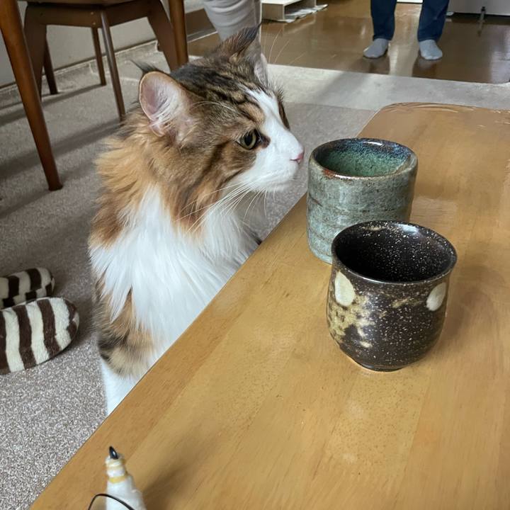 7e24af56 2f30 4e5c a220 79a5b673e9cc 1666337048724