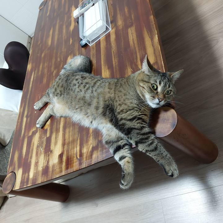 7e24b6ea f961 4869 9eea 3b641914a4bb 1652651942929