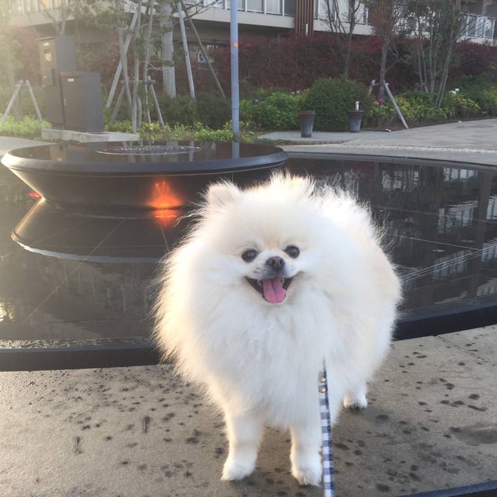 7e24d32d 23d1 409c b989 4f6b581ccf9f 1524346396499