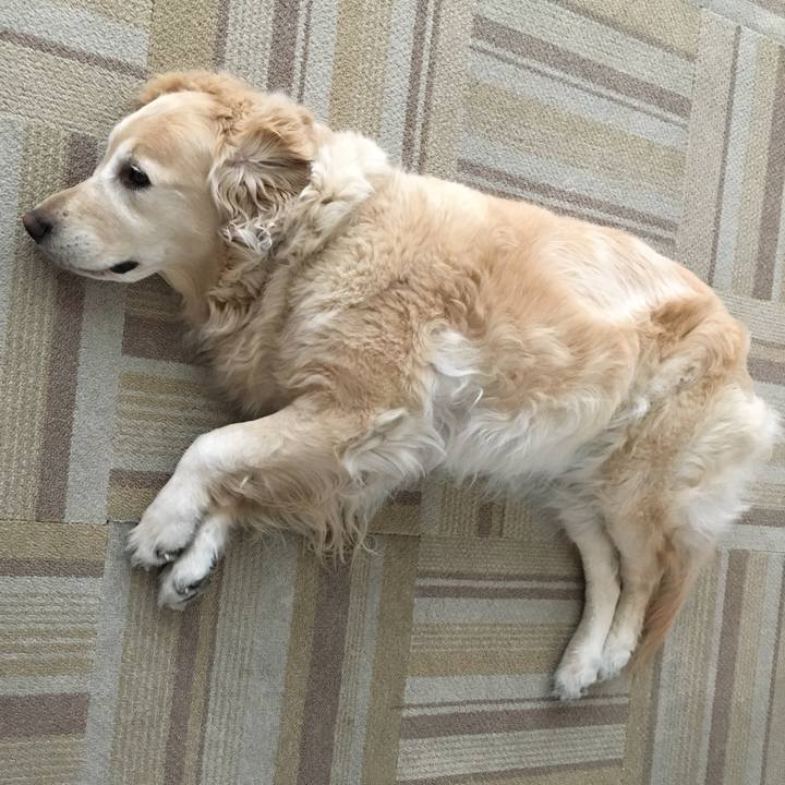 7e25208b 3f8e 49a1 9be7 a95ccadd8cac 1559865368323