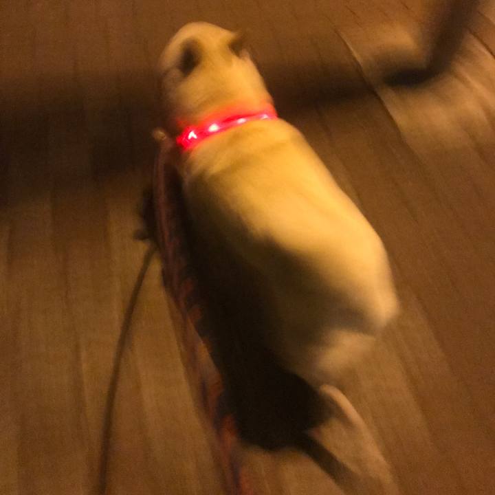 7e2545ab 419a 4681 b6d1 d57579cbb435 1523801888826