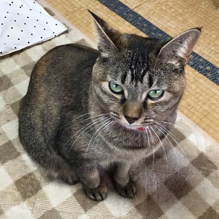 7e25582e 9008 4928 83ba 8c4965eb7488 1607300149835