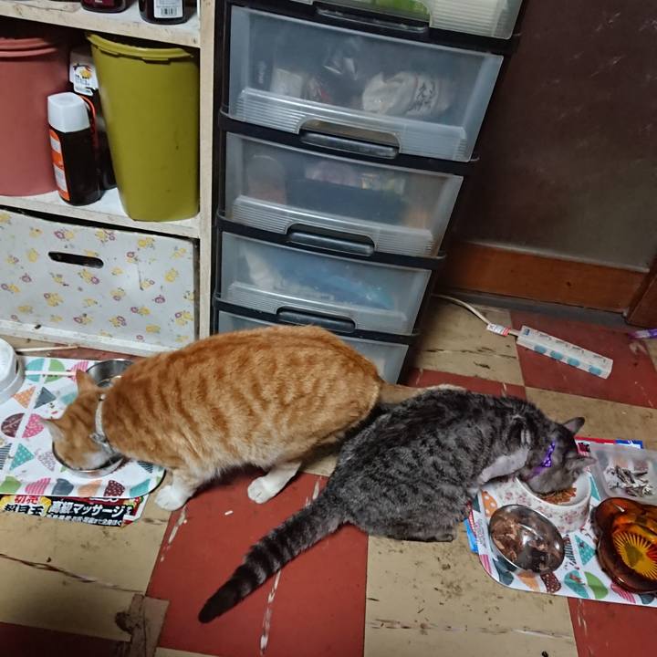 7e25916d b257 4879 a739 f386384dc1f5 1588323510513