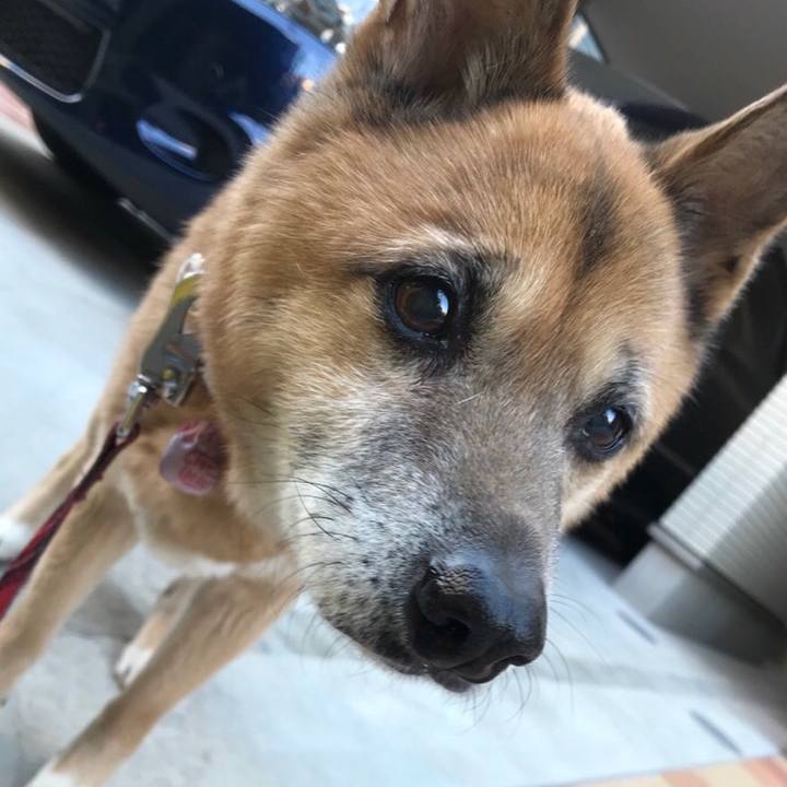 7e2592e2 30aa 4ab4 b914 034c2b3099c1 1518475900285