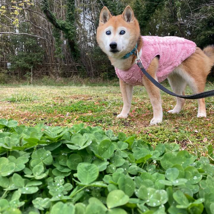 7e259b8d 841b 4991 a102 e27b385ba8b7 1773658642228