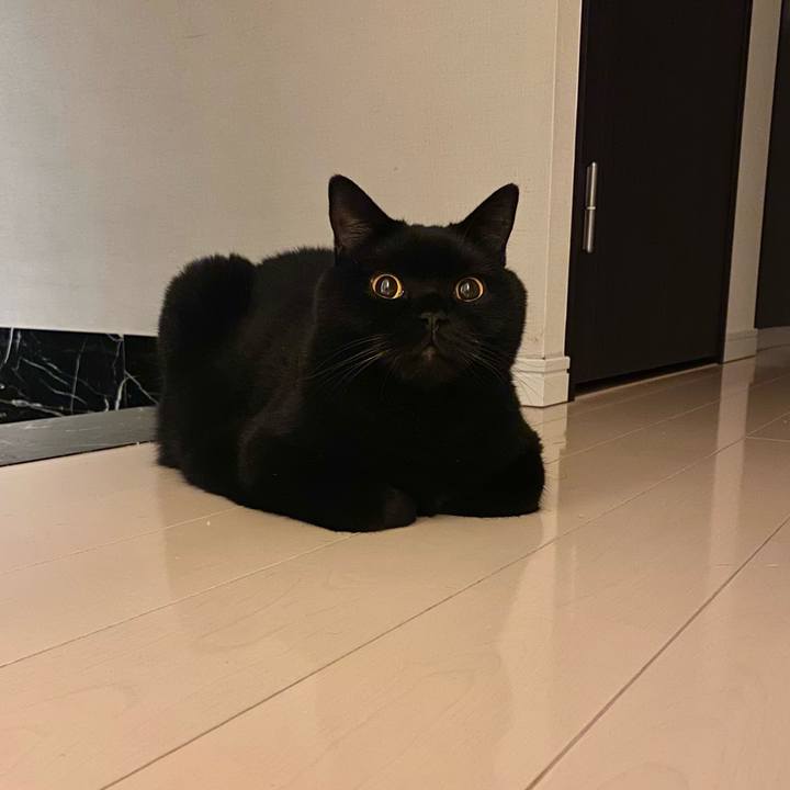 7e25ac9b 758a 416a a68e 57eb0b5860ac 1697208817676