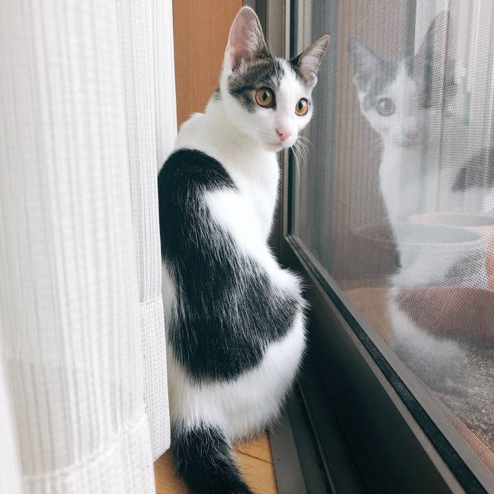 7e25bc75 1231 40f2 94a5 27b902b4901f 1570138112239