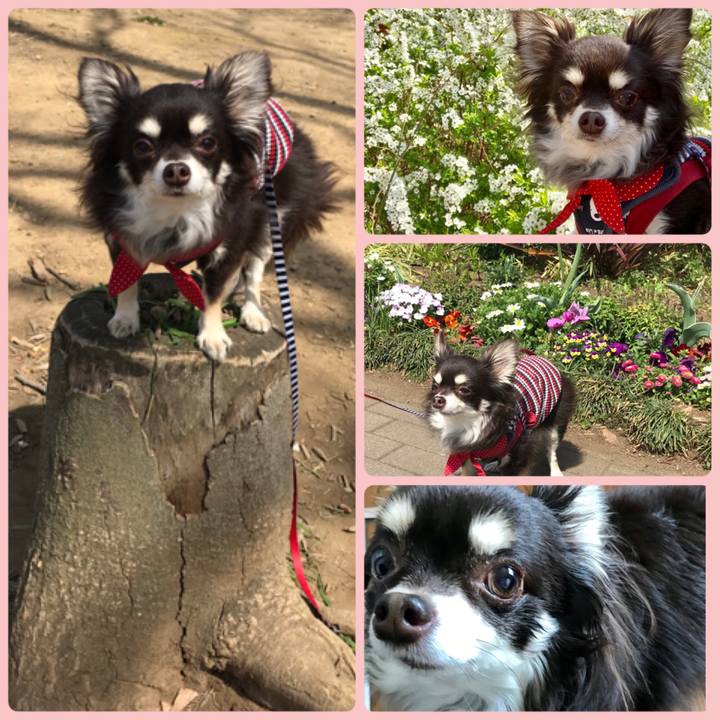 7e262cc3 1e7a 48bb bf91 4f83a23f7e8c 1553501043928