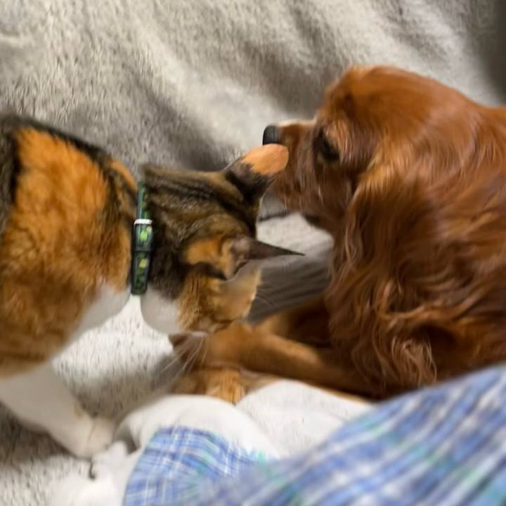 7e2648dd e60e 479b 9dac 9e3398140f8b 1700615781085