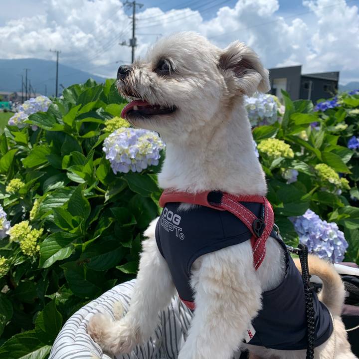 7e265c51 8366 4c12 86d8 7ebda4793351 1718106065664