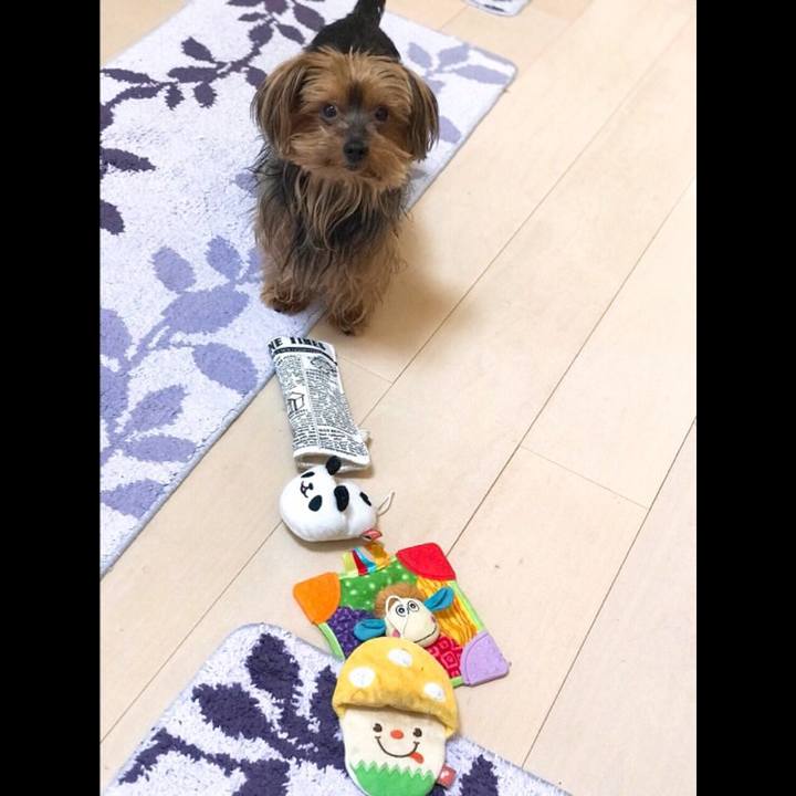 7e265da4 89d1 4413 8c25 fe0b61df35e9 1525051741943