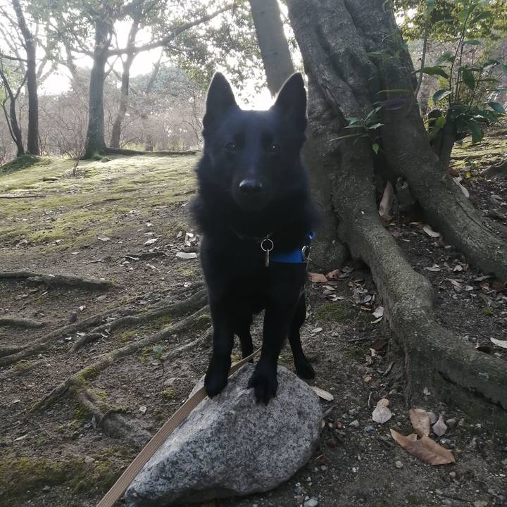 7e266a33 0cb1 40f9 a30f 565815e194f1 1610842600159